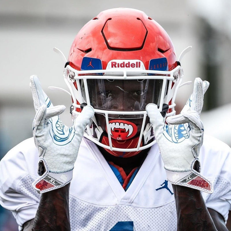 Load image into Gallery viewer, VAMPIRE FANGS - Lip Protector Mouthguard